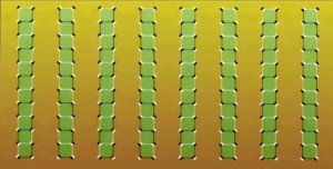 Не могу зайти на свою осеову