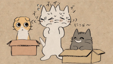 Ругающий кот, Shikaru Neko