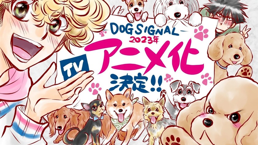 Подробности аниме сериала «Dog Signal»
