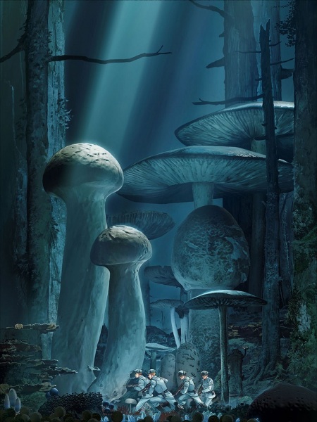 Грибок и железо