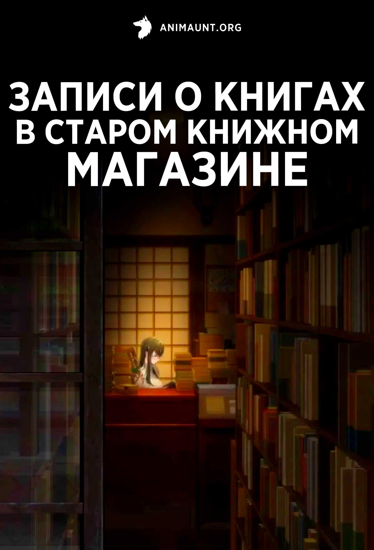 Записи о книгах в старом книжном магазине