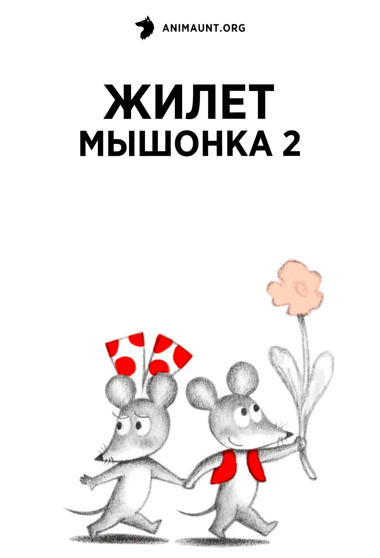 Жилет мышонка 2